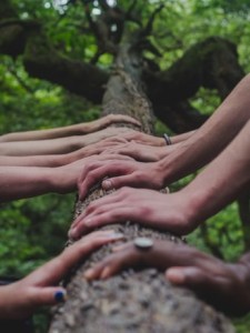 photo-1527525443983-6e60c75fff46